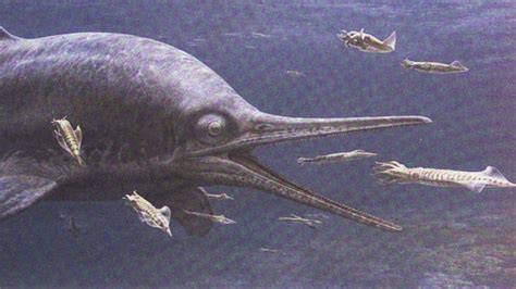 Indian Ichthyosaur Fossil Proves This Ancient Sea Monster Roamed The