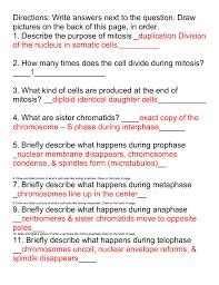 Include an explanation of why this could only occur in meiosis i. Image result for mitosis worksheet 2 answer key ...