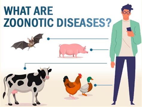Zoonotic Diseases: Types, Risk Factors, Transmission And Prevention
