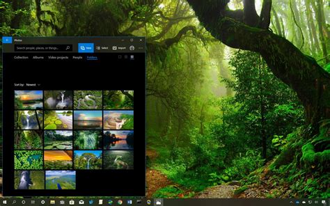 Amazon Rainforest Theme For Windows 10 Download Pureinfotech