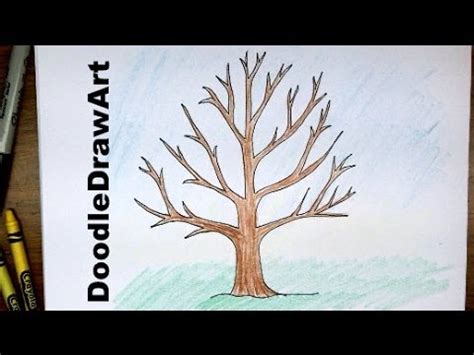 Maybe you would like to learn more about one of these? How To Draw A Tree Without Leaves - Easy Drawing Tutorial ...