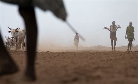 22 Million Face Starvation In Horn Of Africa Un Report