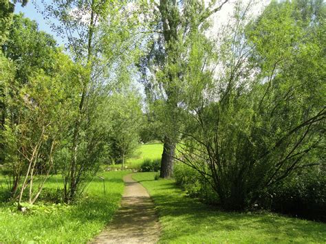 Free Images Landscape Tree Nature Forest Path Grass