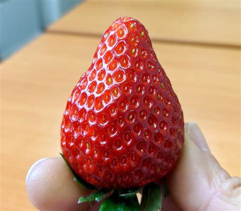 What Its Like To Eat A Super Expensive Japanese Strawberry【taste Test