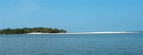 5 Great Ways To Explore Floridas Ten Thousand Islands Florida Rambler