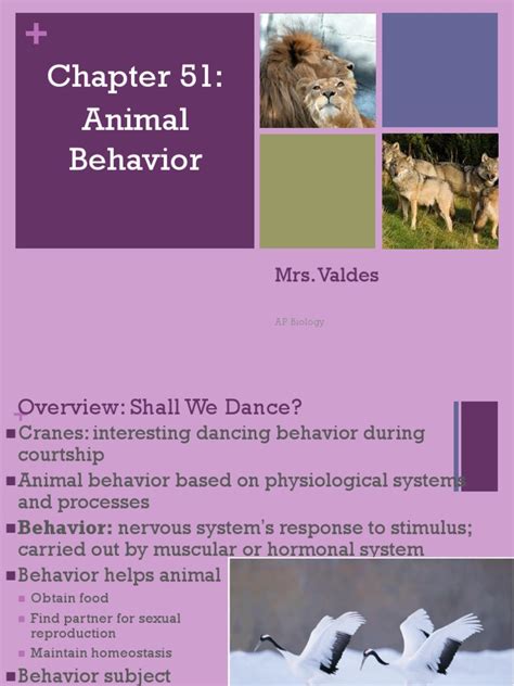 Ap Ch 51 Animal Behavior Pdf Ethology Sexual Selection