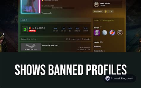How To See Faceit Stats Directly In Steam Community Profile Eloking