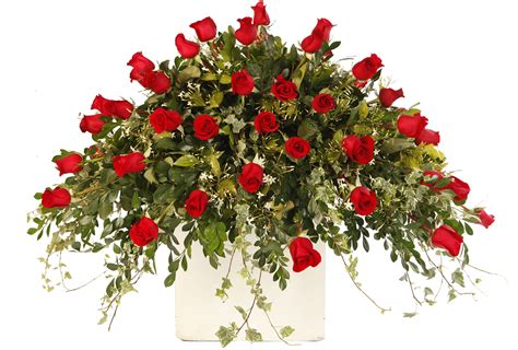 Download Dozen Red Roses Funeral Tribute Png Image With No Background