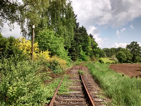 Free Images Landscape Tree Forest Grass Track Railway Field