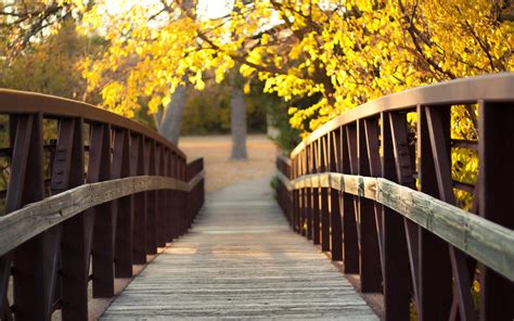Brown Wooden Bridge Bridge Wood Trees Leaves Hd Wallpaper