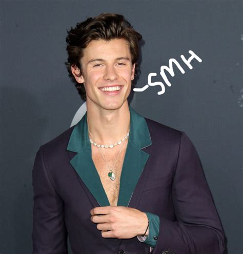Shawn Mendes Sounds Off On Frustrating Rumors About Being Gay I