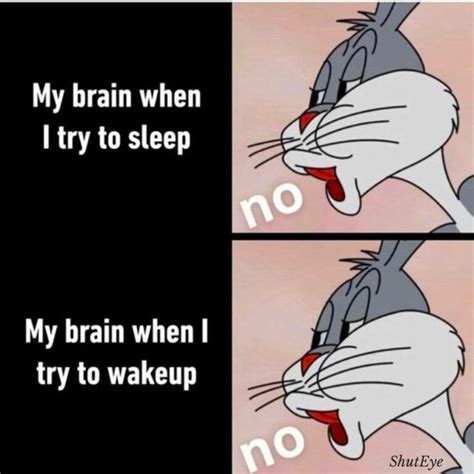 30 Funny Waking Up Memes That Brighten Your Day Luv68