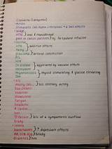 Pictures of Medical School Notes