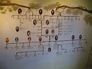 Darwin family tree - a photo on Flickriver