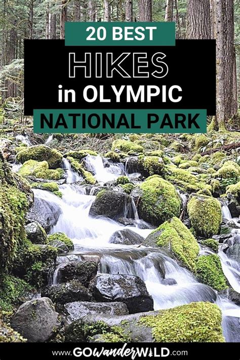 20 Best Hikes In Olympic National Park Go Wander Wild