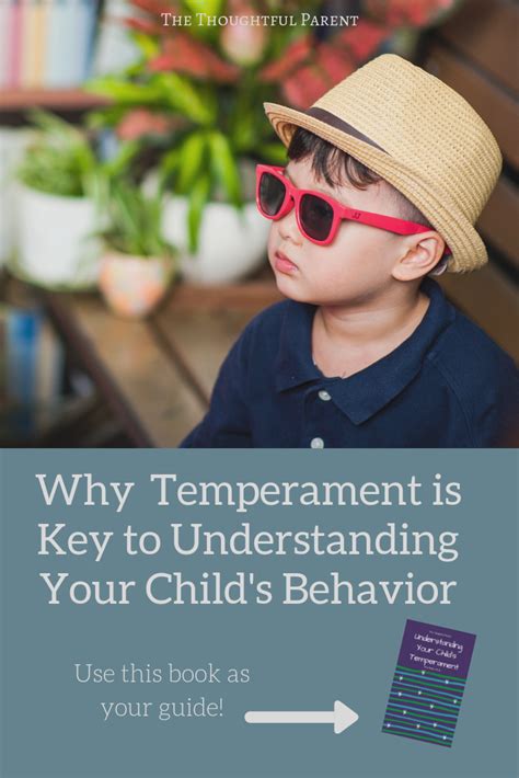 Understanding Your Childs Temperament The Thoughtful Parent
