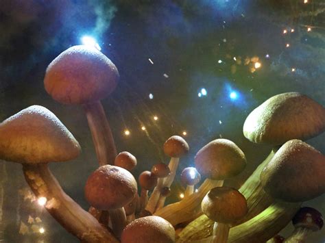 Can Mushrooms Treat Depression The New York Times