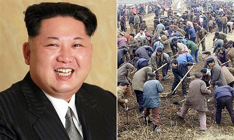 Kim Jong Un Ships Thousands Of North Korean Slaves To Work In Russia Human Rights Issues Nba