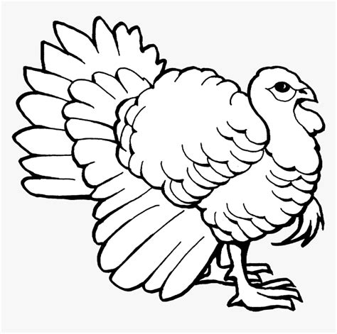 Turkey Clip Art Outline Black And White Transparent Coloring Pages Of