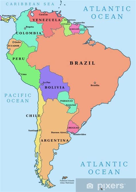 Mural de Parede América do Sul colorido vetor político mapa PIXERS COM PT