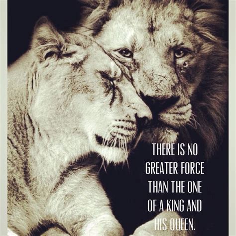 King And Queen Lion Lioness Love King Queen Lion Couple Lion