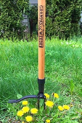 Use these weeding tools to get rid of them quickly. Best Weed Removal Tool for Manual Weed Removal ...