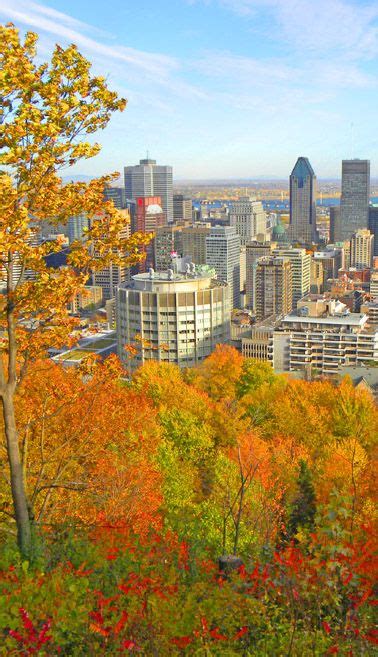 Montreal In The Autumn Most Beautiful Cities Montreal
