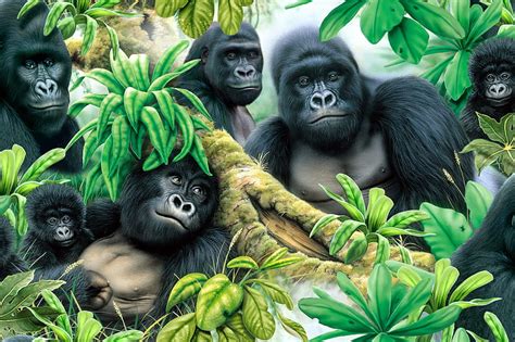 Gorillas Life Primates Wild Jungle Animals Hd Wallpaper Peakpx