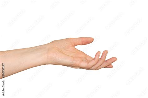 Caucasian Womans Hand Palm Up And Fingers Curled In A Reaching Out