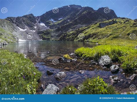 Picturesque Mountain Lake Summer Greens Stock Photo Image Of Water