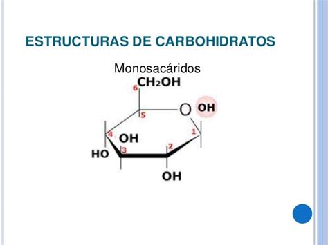 Metabolismo De Los Carbohidratos Mind Map