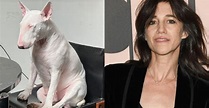 Charlotte Gainsbourg fait rire la toile avec son chien