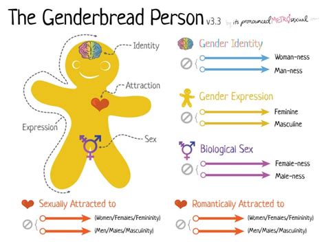 Gender Equality Week Understanding Gender And Sexual Diversity
