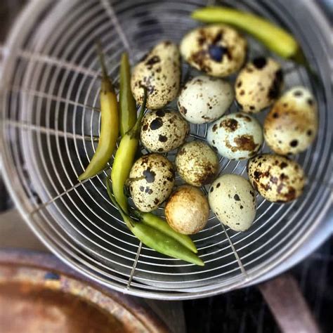 Pickled Quail Eggs Bush Cooking