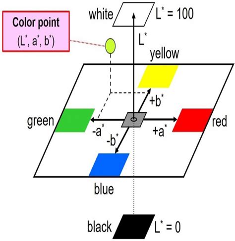 Representation Of The Cielab Color Space 78 Download Scientific Diagram