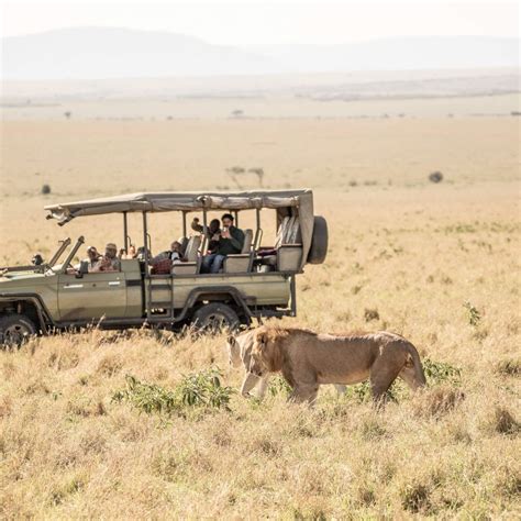 7 Days Kenya Wildlife Safari Kenya Safaris Tour Kenya Tours Kenya