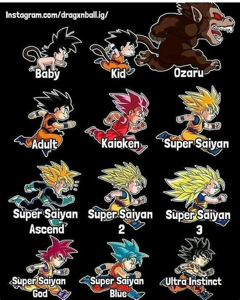 Todas As Transformações Do Goku Anime Dragon Ball Super Dragon Ball