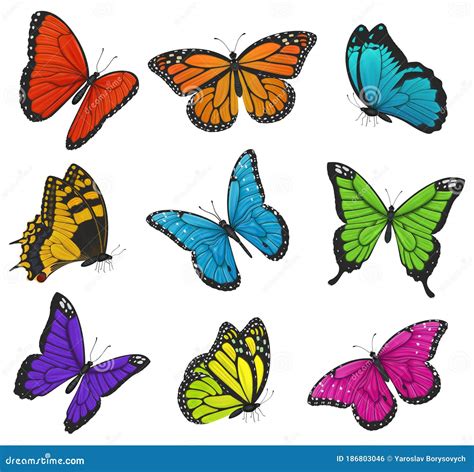 Big Collection Of Colorful Butterflies Vector Illustration Stock