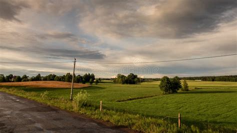 Country Road Among Green Fields In Spring After Rain Stock Photo