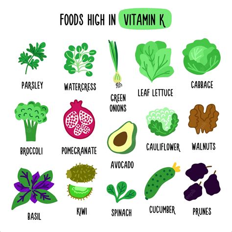 Premium Vector Foods High In Vitamin K Vector Illustration With