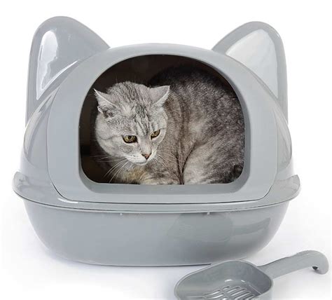 What Is The Best Type Of Cat Litter Box Animal Shelters