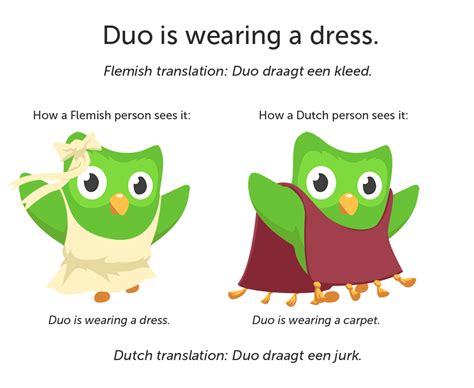 The Duolingo Owl Vseeng