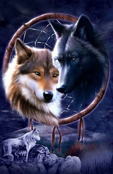 Check fixtures, tickets, league table, club shop & more. #wolf #traumfänger | Tiere, Geisttier, Ausgestopftes tier