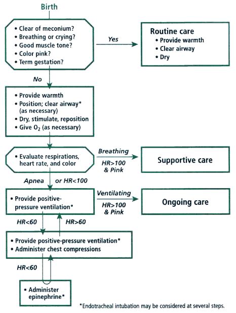 Doctors Gates Algorithm For Neonatal Resuscitation