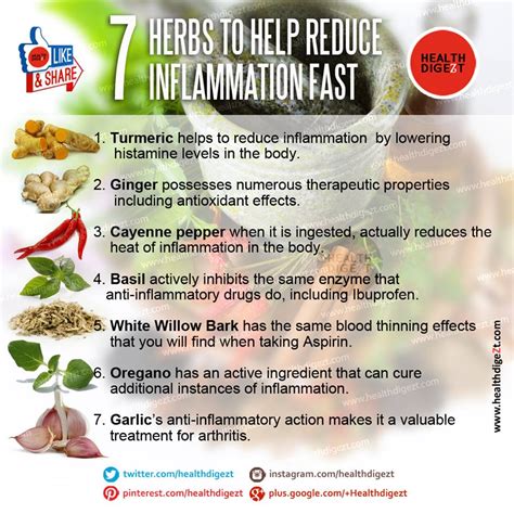 Rainbowdiary Herbs To Reduce Inflammation