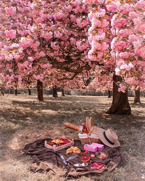 Pretty In Pink ~ Luxury Picnic Under The Blossom Trees Picnic In Paris