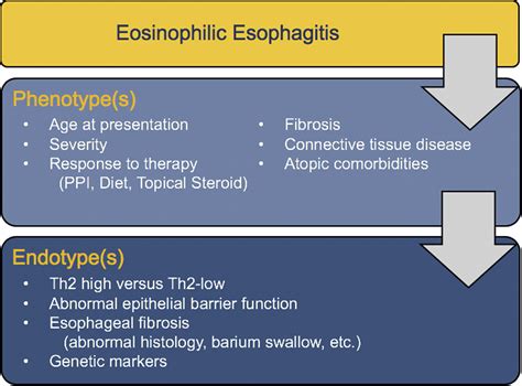 Phenotypes And Endotypes In Eosinophilic Esophagitis Annals Of