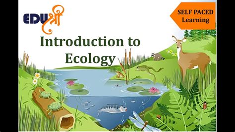 Introduction To Ecology Youtube