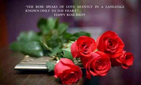100 Happy Rose Day Quotes And Sayings For Wife 2024 Quotesprojectcom