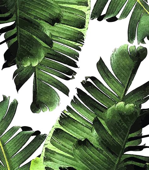1300x1300 background with watercolor green leaves of palm tree, exotic. Banana Leaf - Tropical Leaf Print - Botanical Art - Modern ...